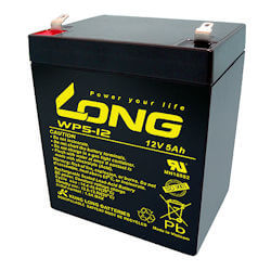 Long WP5-12-M F1 Blei Akku